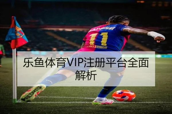 乐鱼体育VIP注册平台全面解析